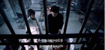 国产精彩视频视频,光影交织，讲述中国故事