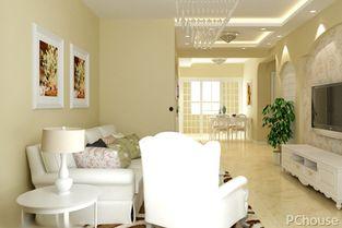 装修国产油漆测评视频大全