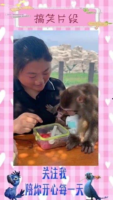 国产爱就爱小视频