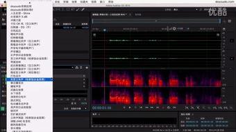 2019年国产au视频