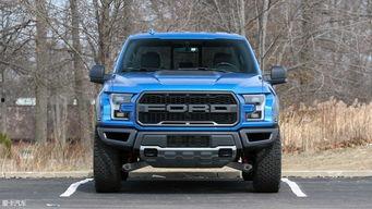 猛禽国产真假鉴别图视频,视频图解教你轻松识别