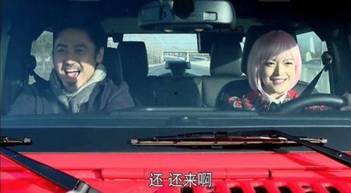 国产汽车广告解说视频,驾驭未来，品质之光