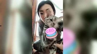 九九国产福利视频综合,盘点热门影视佳作，尽享视听盛宴