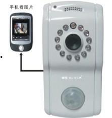 国产警报器主机测试视频,震撼音效与稳定性能一探究竟